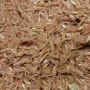 নদীর মাছের কালেকশন (River Fish Collection)