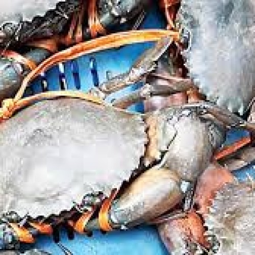 সুন্দরবনের মাড কাঁকড়া  (Sundarbans Mud Crab) কেজি
