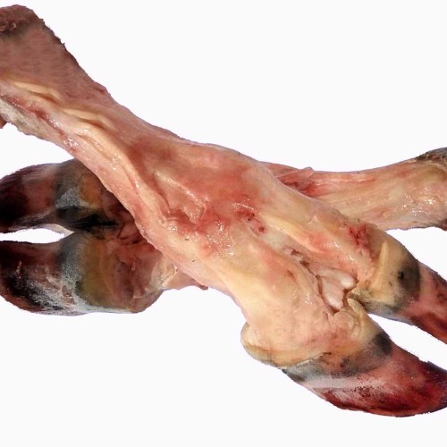 Gorur Paya/গরুর পায়া/নেহারি পিস