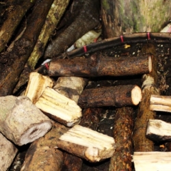 খুলনার বিখ্যাত চুইঝাল (Khulna Chuijhal) কেজি