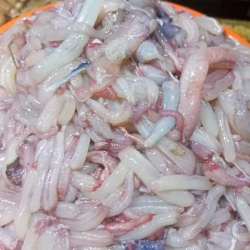 তাজা গলদা চিংড়ির পায়ের শাঁস (Golda Chingrir Payer Shash) কেজি