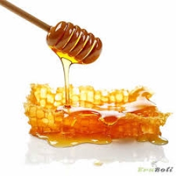 সুন্দরবনের বুনো মধু (Sundarban Wild Honey/Sundarban Mixed Honey/Sundarban Buno Honey)