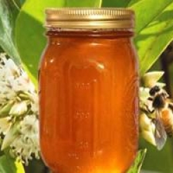 সুন্দরবনের খলিশা ফুলের মধু (Sundarbans Khulisha Honey)