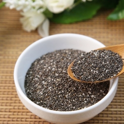 চিয়া সিডস (Chia Seeds)